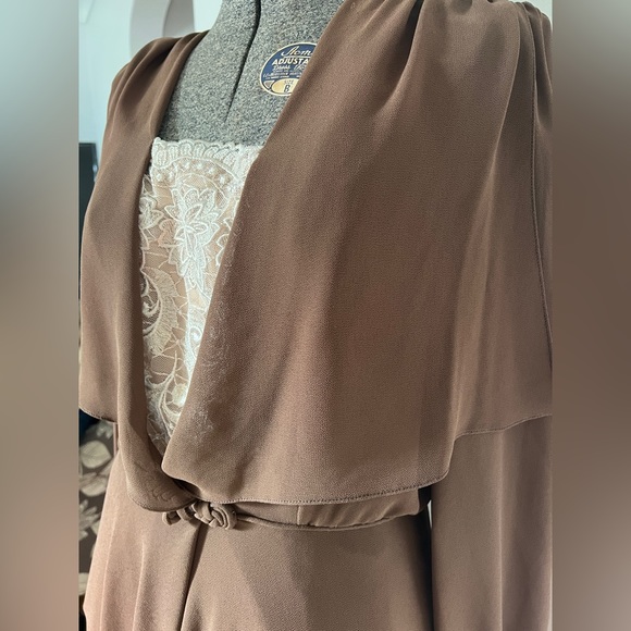 Vintage Hollywood regency Lilli Diamond brown and lace dress with sheer sleeves. - Picture 10 of 15